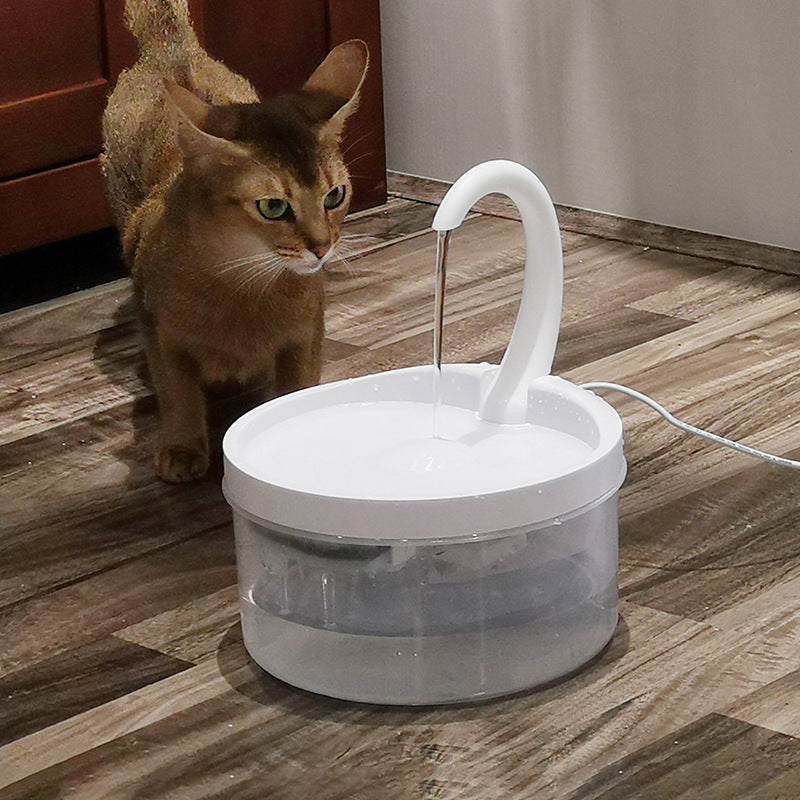 Cat drinking fountain