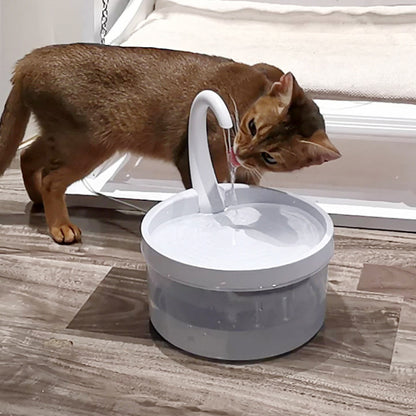 Cat drinking fountain