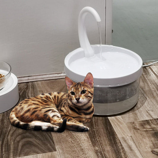 Cat drinking fountain