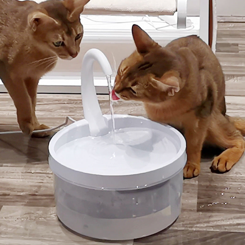 Cat drinking fountain