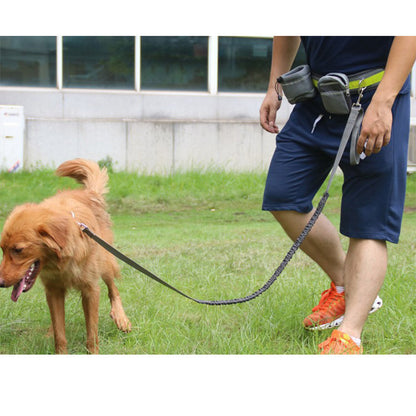 Adjustable hands free dog leash