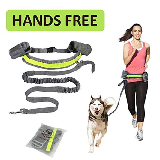 Adjustable hands free dog leash