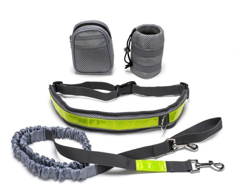 Adjustable hands free dog leash