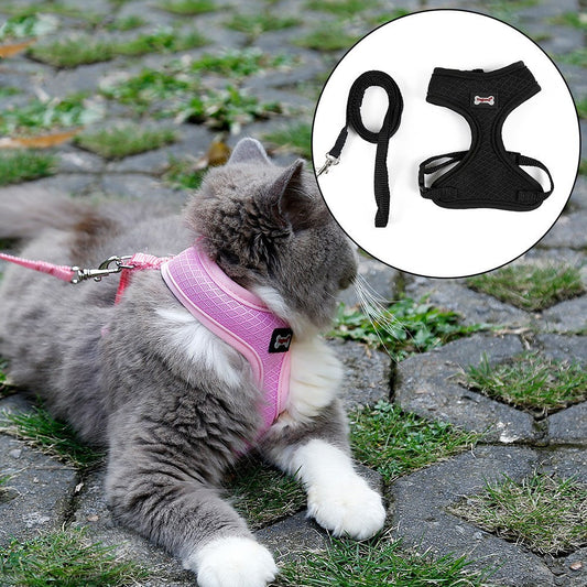 Cat harness