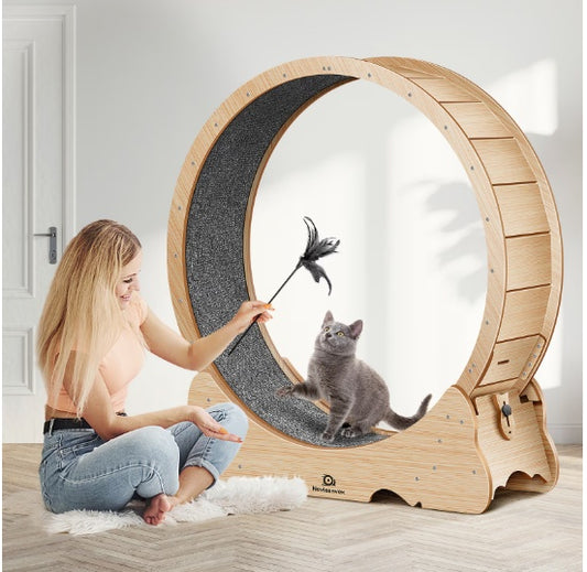 Cat treadmill