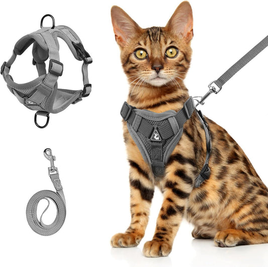 Chest harness and leash (For all types of cats)