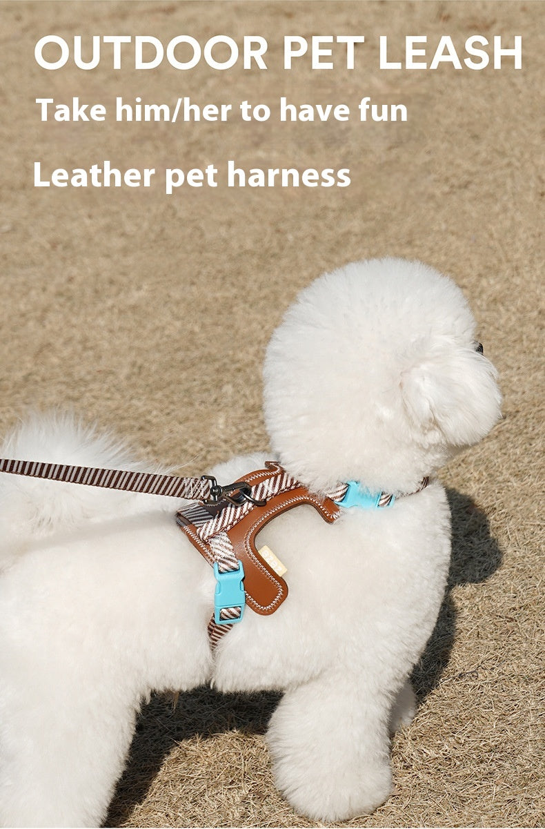 Anti-loose harness