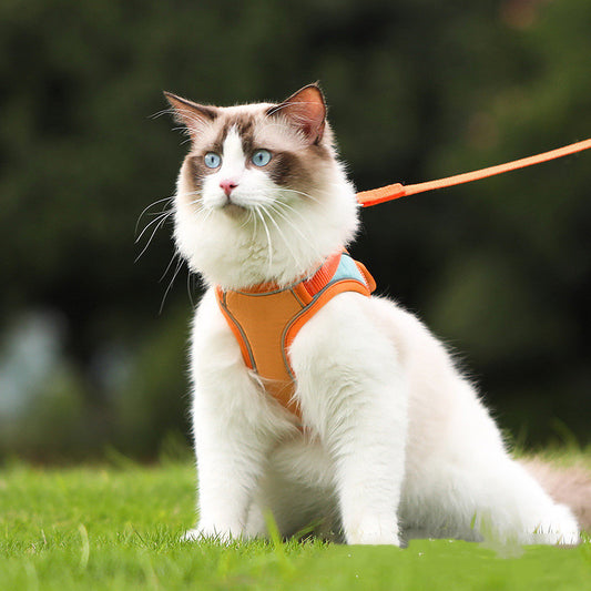 Anti-escape reflective cat harness leash