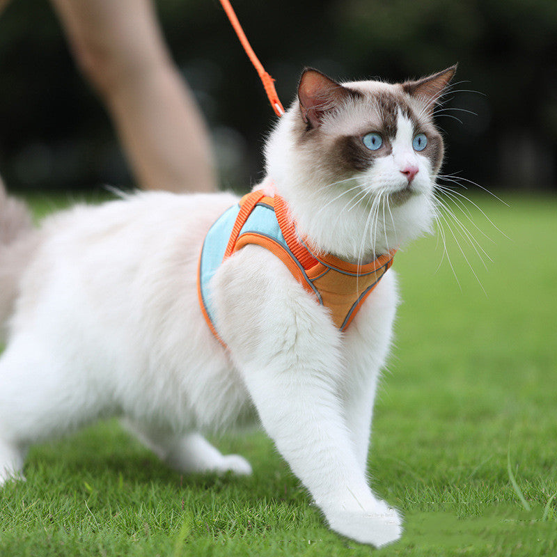 Anti-escape reflective cat harness leash