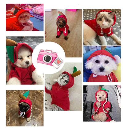 Niedliche Hundekleidung mit Früchten für kleine Hunde, Hoodies, warme Fleece-Haustierkleidung, Welpen-/Katzenkostüm, Mantel für französisches Chihuahua-Outfit